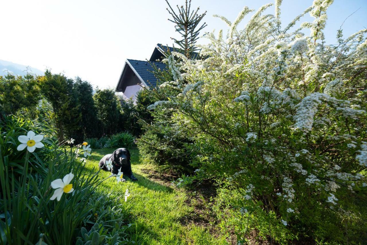 Guest House Pr' Čut Zirovnica Eksteriør billede